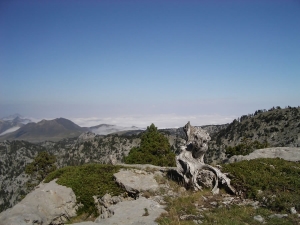 Sima de las Puertas Illamina (BU56)
